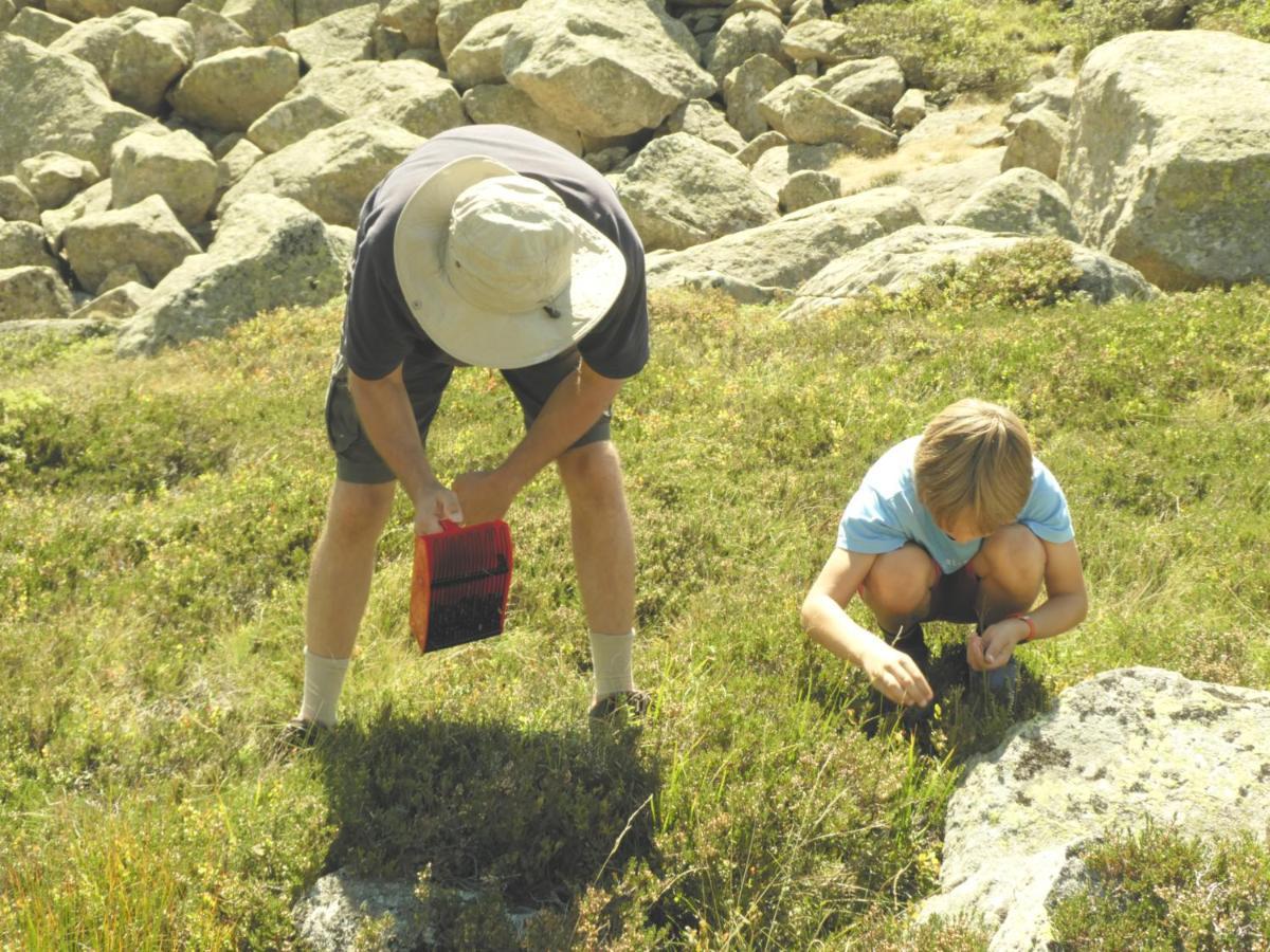 Pleine Nature Pied Pistes Piscine Chauffee Ustou Εξωτερικό φωτογραφία