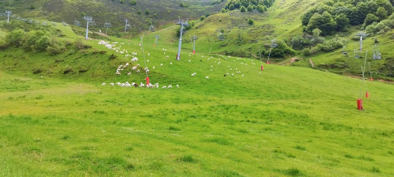 Pleine Nature Pied Pistes Piscine Chauffee Ustou Εξωτερικό φωτογραφία