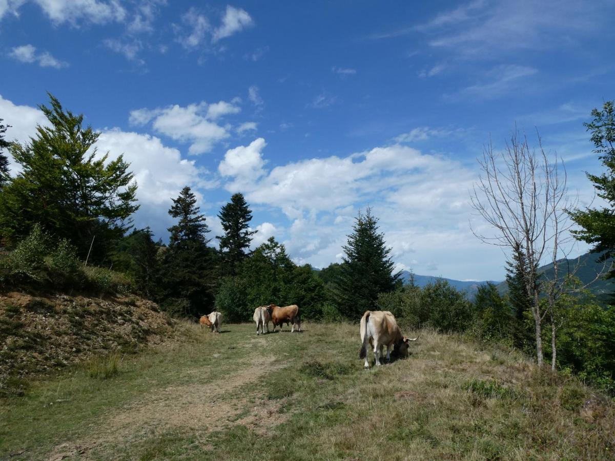 Pleine Nature Pied Pistes Piscine Chauffee Ustou Εξωτερικό φωτογραφία